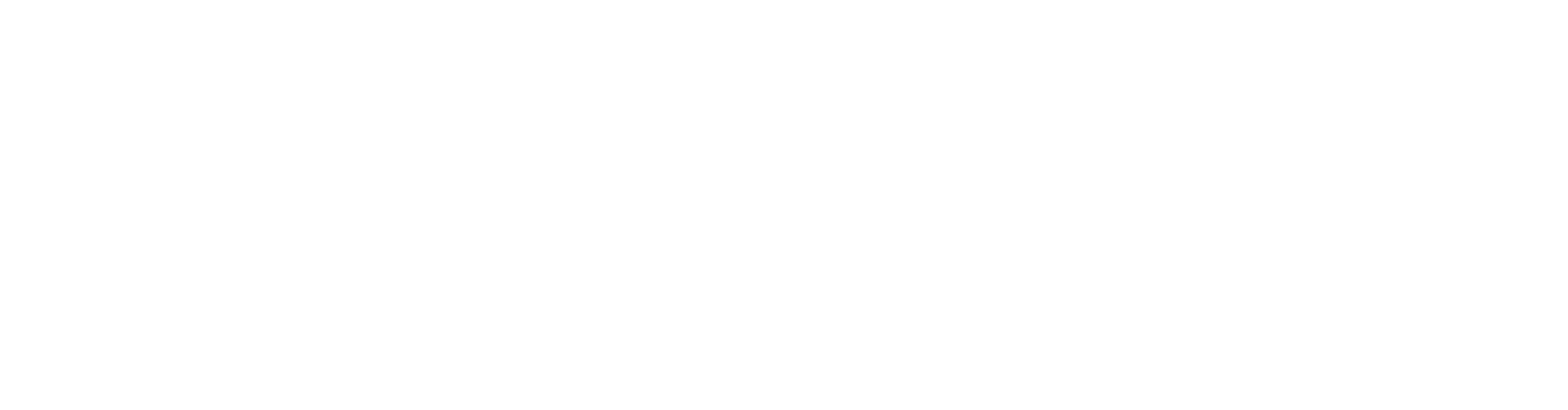 Virgin Voyages logo