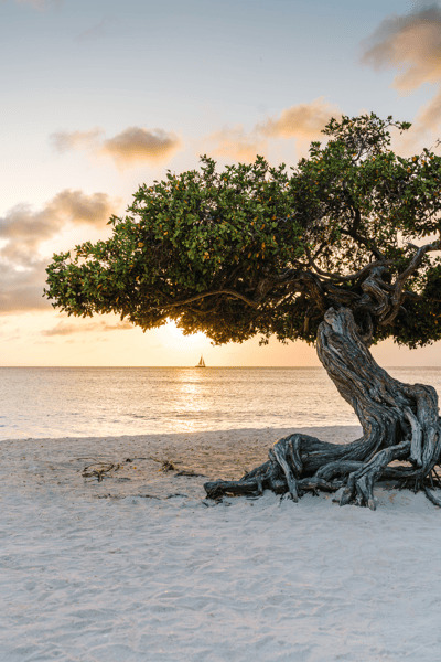 Official Caribbean tourism imagery for Aruba, Bonaire & Curaçao