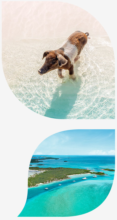 Official Caribbean tourism imagery for Barbados, Antigua & the Grenadines