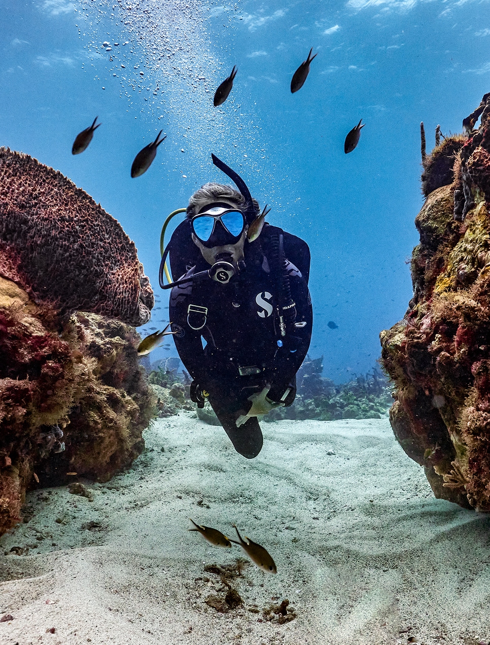 Authentic Sandals Resorts Included Water Sports & Scuba