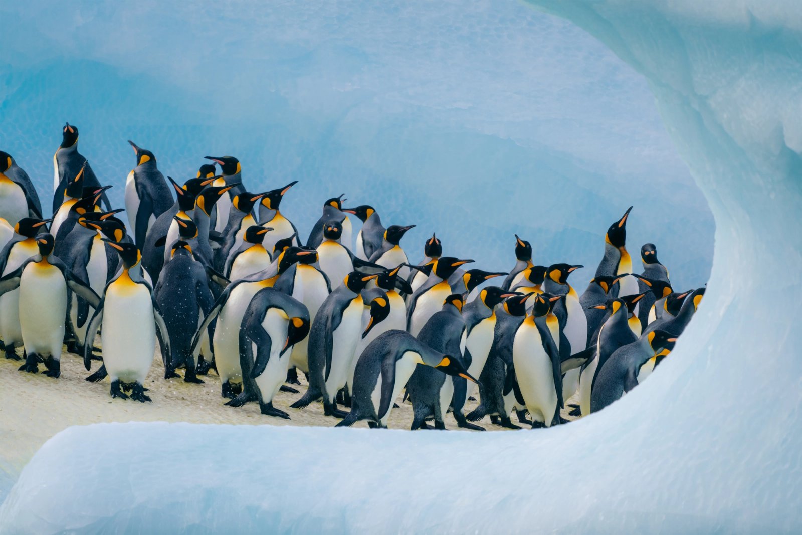 Luxury expedition ship surrounded by Antarctic ice
