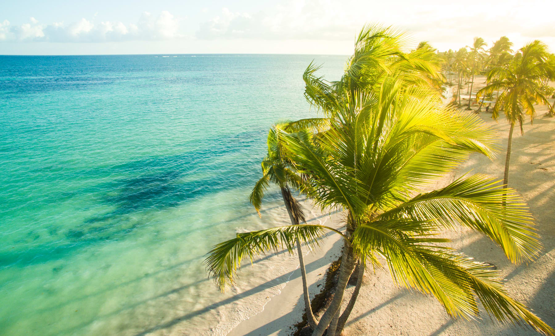 Official Sunwing vacation resort dining and tropical package setting